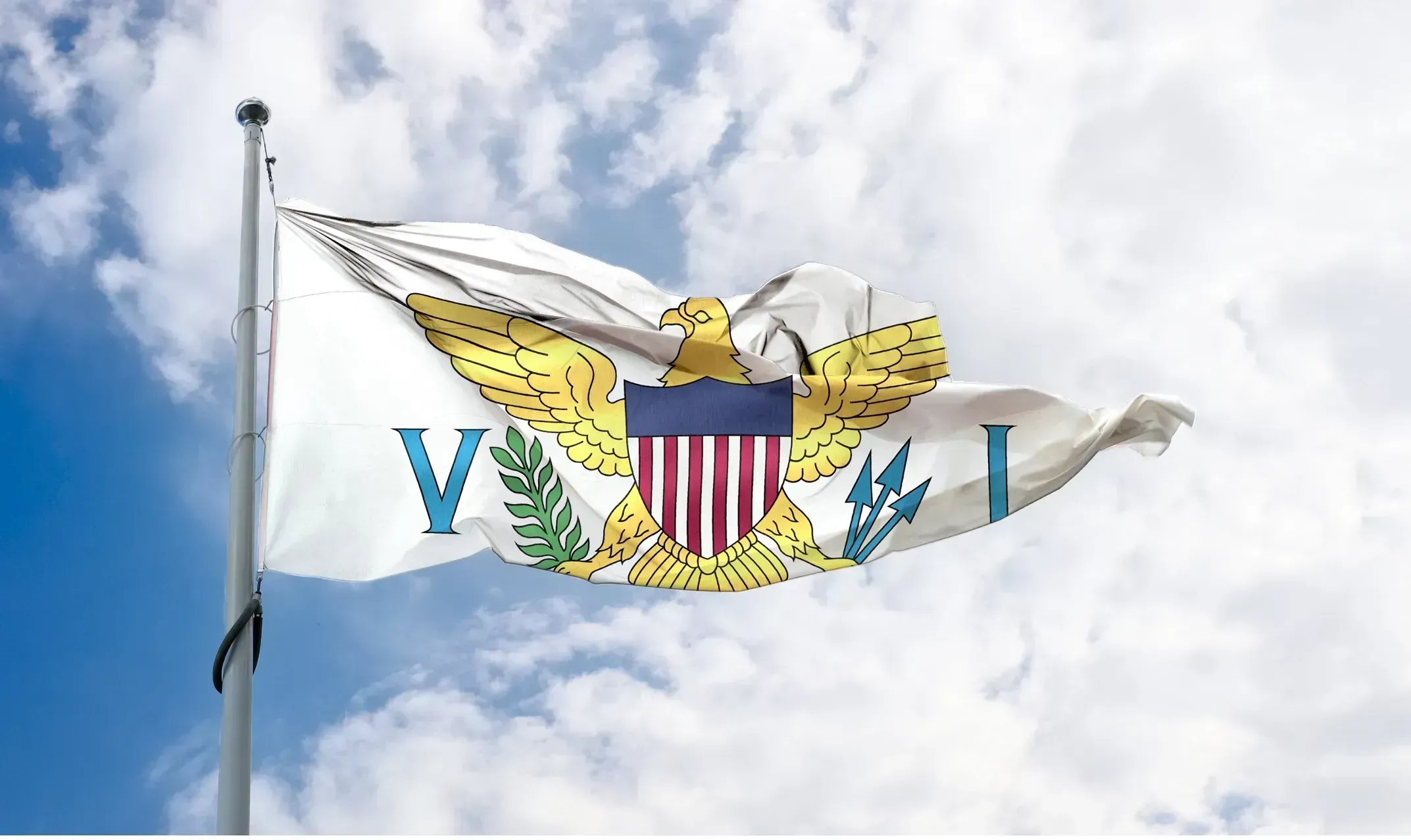 The Virgin Islands Flag